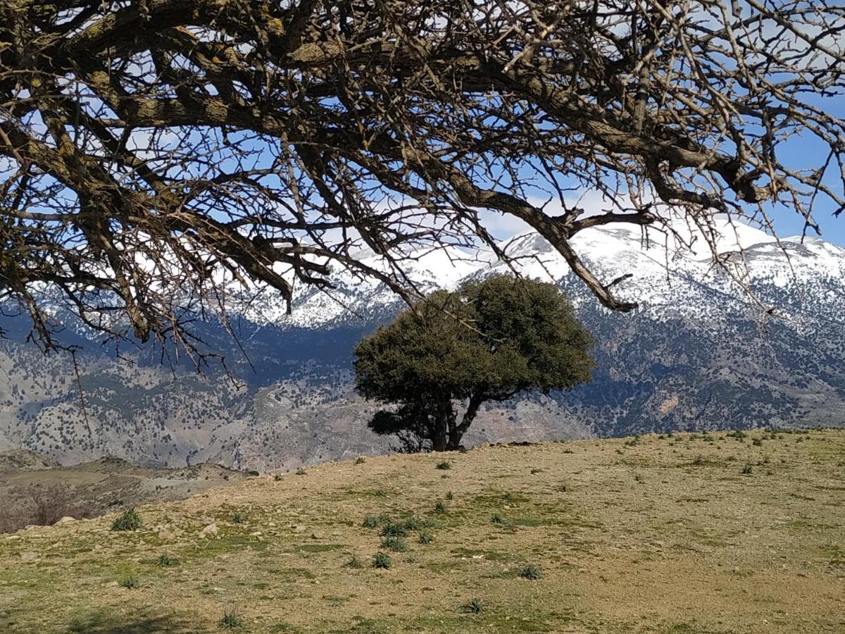 Vila Il Silenzio Magarikari Exteriér fotografie