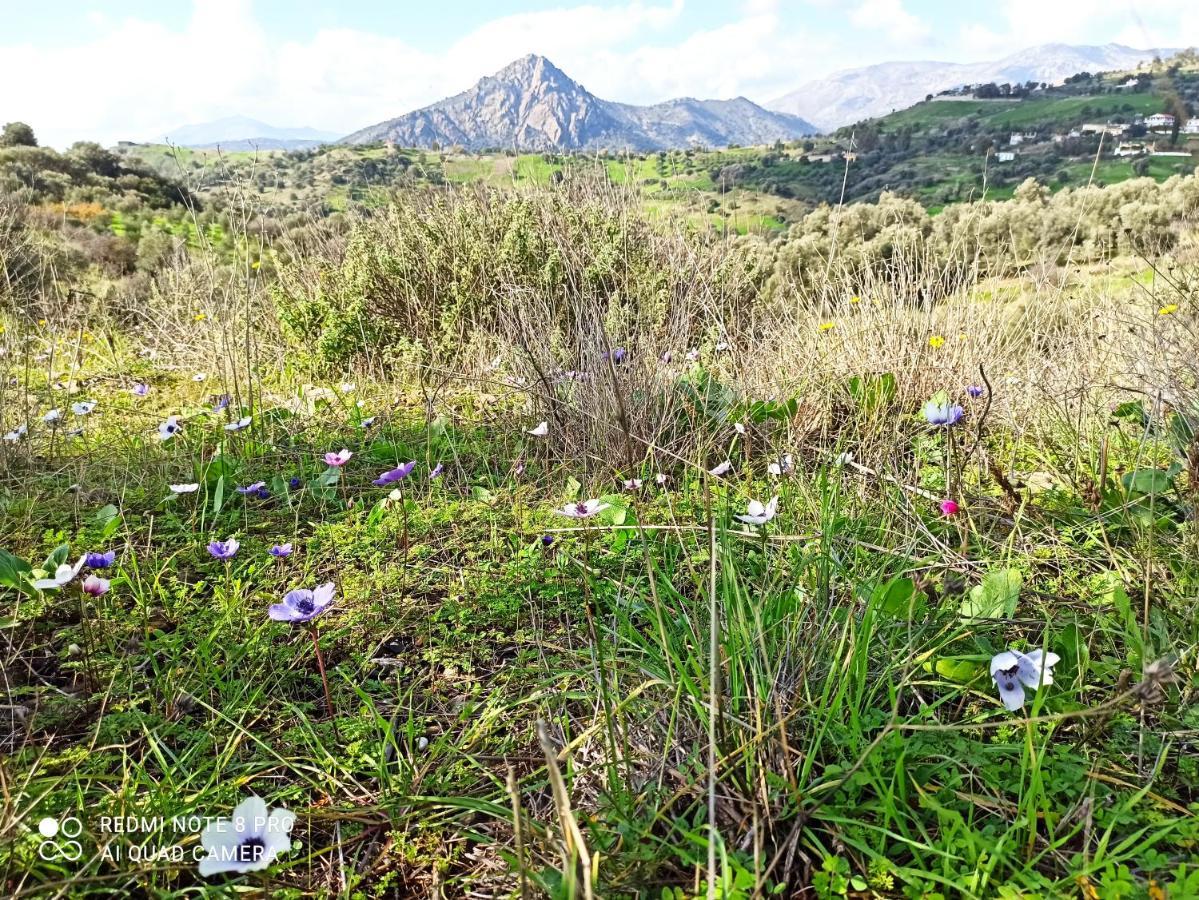 Vila Il Silenzio Magarikari Exteriér fotografie